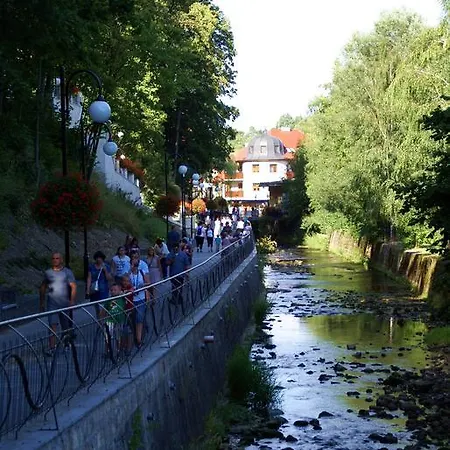 Апартаменты Milena Поляница-Здруй